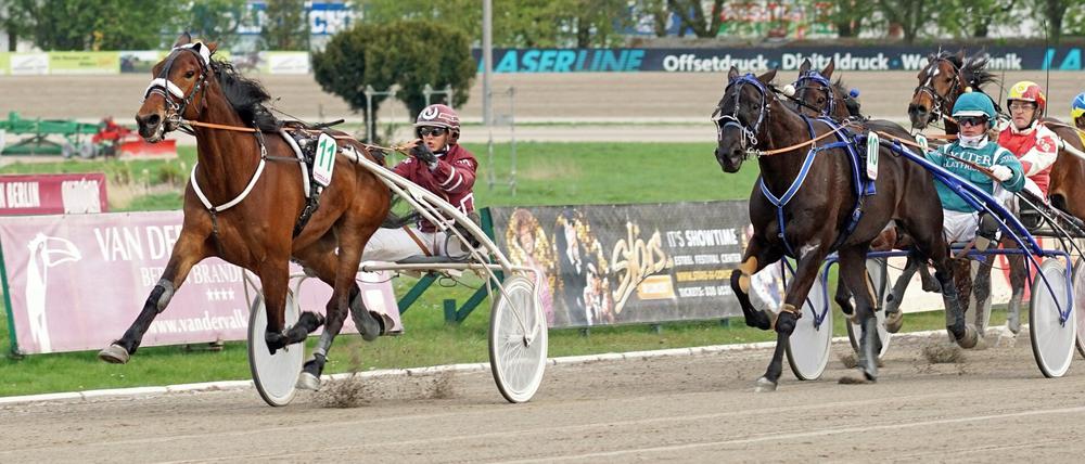 Der deutsche Trabrennsport ist immer noch männerdominiert. Frauen, wie Sarah Kube wollen das ändern.