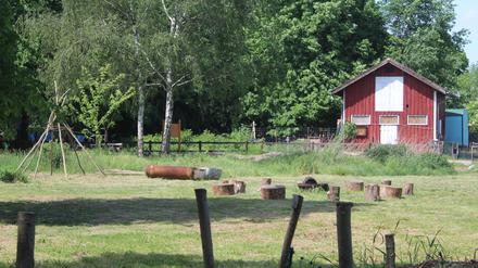 Freifläche neben der Alten Fasanerie in Lübars.