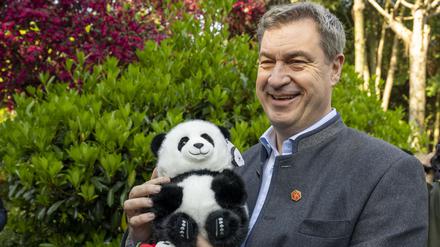 Markus Söder, (CSU) Ministerpräsident von Bayern, hält bei seinem Besuch des Chengdu Research Base of Giant Panda Breeding einen geschenkten Panda-Plüschbär im Arm. 