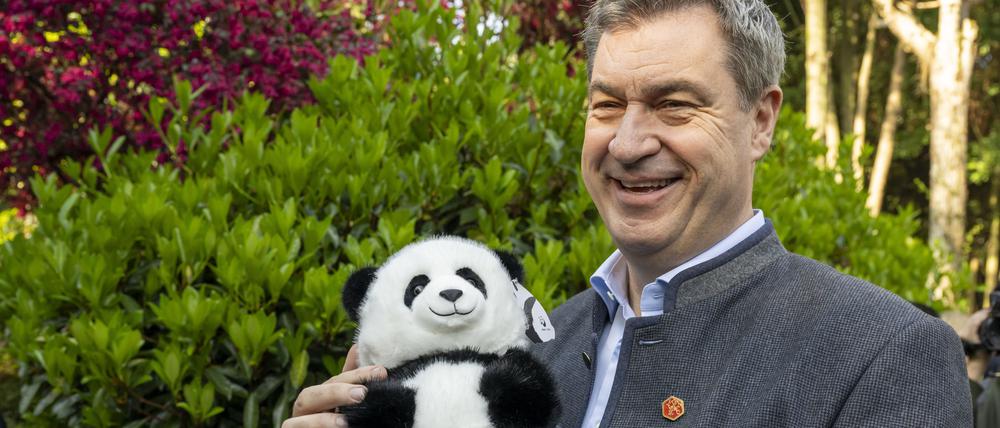 Markus Söder, (CSU) Ministerpräsident von Bayern, hält bei seinem Besuch des Chengdu Research Base of Giant Panda Breeding einen geschenkten Panda-Plüschbär im Arm.