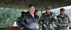 Die zeitlich unbegrenzten UN-Sanktionen gegen das Land von Machthaber Kim Jong Un waren zuletzt 2016 und 2017 verschärft worden.