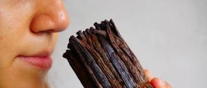 Vanilleschoten enthalten etwa 200 aromaaktive Substanzen.