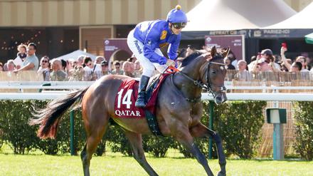 Hengst Fantastic Moon wird in Hoppegarten als „Galopper des Jahres“ ausgezeichnet.