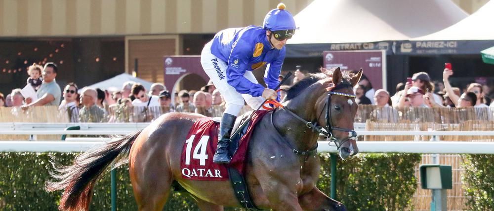 Hengst Fantastic Moon wird in Hoppegarten als „Galopper des Jahres“ ausgezeichnet.