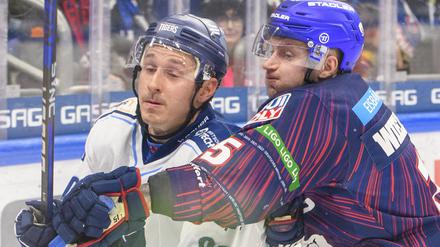 Eisbär gegen Tiger. Manuel Wiederer von den Eisbären (li.) und Luke Adam von den Straubing Tigers.