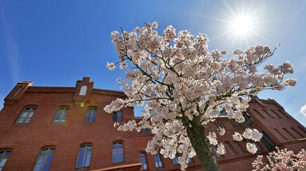 Wetter, Frühling, Ostern, Sonne