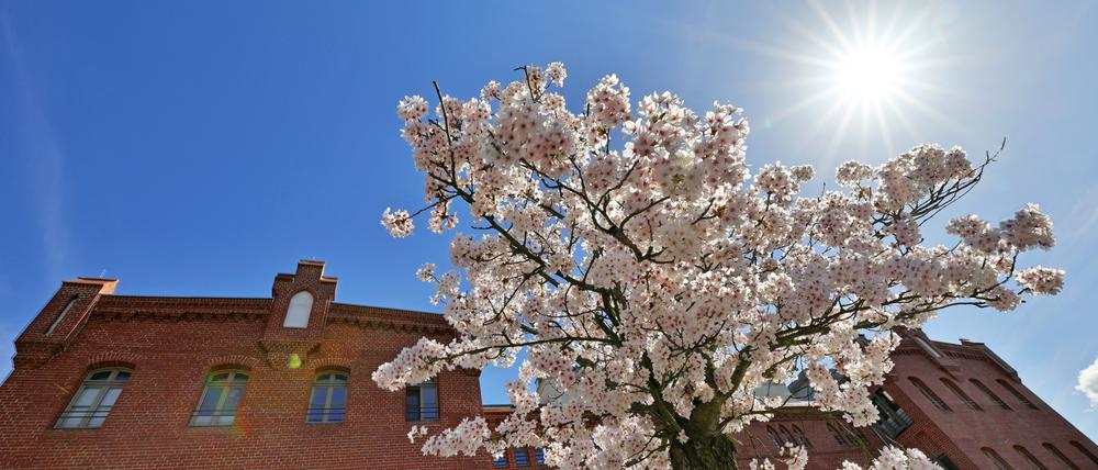 Wetter, Frühling, Ostern, Sonne