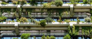 Green Building Facade Details In Barcelona, Spain xkwx home, house, green, city, barcelona, spain, park, apartment, regeneration, travel, innovation, architect, downtown, business, sustainability, balcony, green economy, botanic, luxury, ecology, vertical forest, vertical, eco, plant, sustainable, trees, landmark, urban, residential, cityscape, forest, futuristic, apartments, modern, design, outdoor, tower, sky, skyscraper, nature, landscape, district, architecture, building