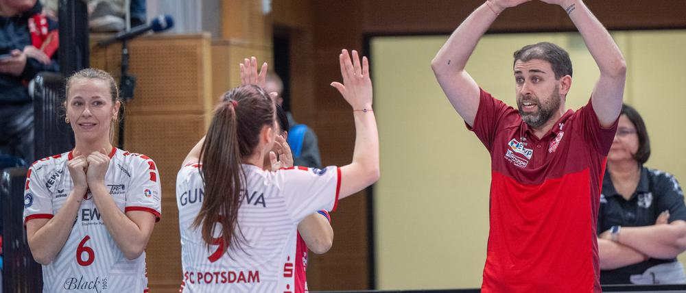 Am Samstag findet die zweite Halbfinal-Begegnung in Potsdam statt.