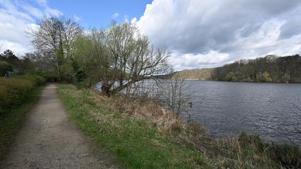 Uferweg am Griebnitzsee