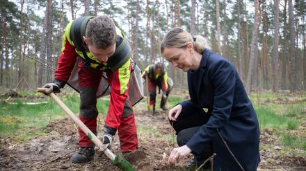 Paul, Forstwirt in Ausbildung, und Manja Schreiner (CDU), Berliner Senatorin für Mobilität, Verkehr, Klimaschutz und Umwelt, beim Pflanzen von Setzlingen.