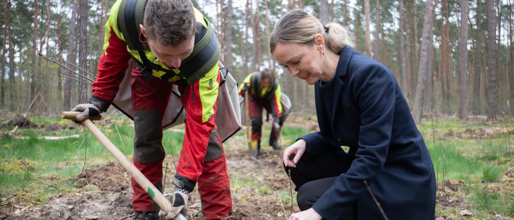Paul, Forstwirt in Ausbildung, und Manja Schreiner (CDU), Berliner Senatorin für Mobilität, Verkehr, Klimaschutz und Umwelt, beim Pflanzen von Setzlingen.