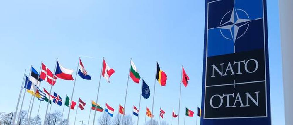 Die Nationalflaggen der NATO-Mitgliedstaaten wehen vor dem Hauptsitz der Organisation in Brüssel.