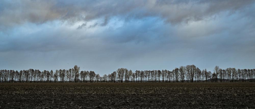 Brandenburg, Manschnow: Wolken ziehen über die Landschaft. 