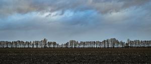 Brandenburg, Manschnow: Wolken ziehen über die Landschaft.