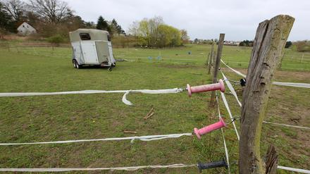 Auf dieser Pferdekoppel an der Verlängerten Amtsstraße soll der Sportplatz errichtet werden.