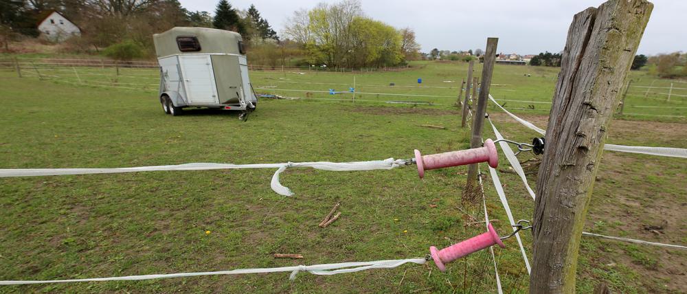 Neue Sportfläche in der Amundsenstraße geplant. In Potsdam fehlen stadtweit mehr als zehn Flächen für Sportplätze. Eine Pferdekoppel in Potsdam Bornim steht zur Diskussion.