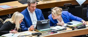 Plenarsitzung im Berliner Abgeordnetenhaus.