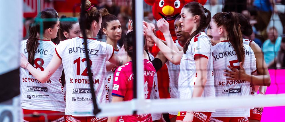 VBL Volleyball-Bundesliga SC Potsdam - SSC Palmberg Schwerin PlayOff Halbfinale, 06.04.2024 VBL Volleyball-Bundesliga SC Potsdam - SSC Palmberg Schwerin 06.04.2024 *** VBL Volleyball Bundesliga SC Potsdam SSC Palmberg Schwerin PlayOff semi-final, 06 04 2024 VBL Volleyball Bundesliga SC Potsdam SSC Palmberg Schwerin 06 04 2024 Copyright: xBEAUTIFULxSPORTS/NicolxMarschallx