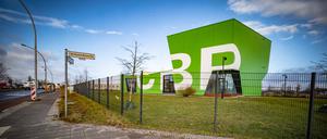 Auf dem Cleantech-Park in Marzahn dominieren vorerst die Kreuzkröten, obwohl noch ungeklärt ist, ob sie dort wirklich leben. 