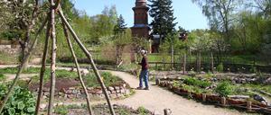 Garten des Naturschutzzentrum Ökowerk Berlin