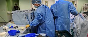 In Kliniken in England wird über Ratten, Ameisen und andere Schädlinge geklagt. 