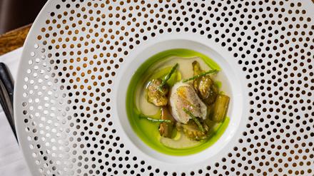 Gegrillte Jakobsmuschel mit der levantinischen Distelpflanze Akkoub.