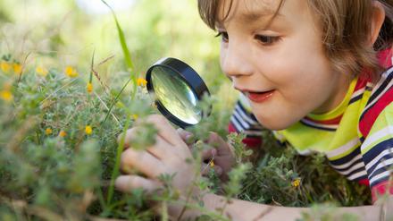 Was blüht und krabbelt denn da? Kinder lassen sich schnell für die Natur begeistern.