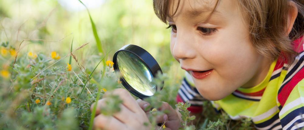Was blüht und krabbelt denn da? Kinder lassen sich schnell für die Natur begeistern.