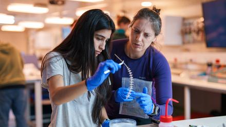 In Deutschland wollen mehr junge Menschen in der Wissenschaft arbeiten, als es Professuren und Dauerstellen gibt. Das kann man auch positiv sehen.