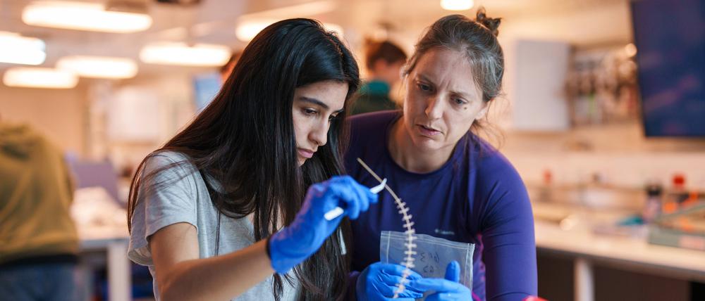 In Deutschland wollen mehr junge Menschen in der Wissenschaft arbeiten, als es Professuren und Dauerstellen gibt. Das kann man auch positiv sehen.