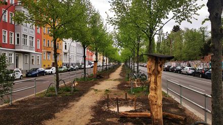 Der Mittelstreifen auf der Friedenstraße wurde umgestaltet. 