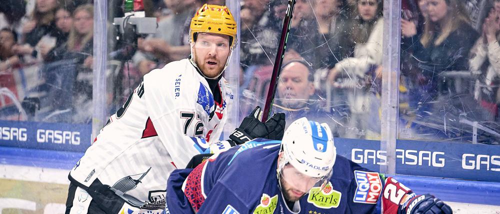 Am letzten Spieltag der Hauptrunde siegte Bremerhaven mit Phillip Bruggisser (hinten) bei den Eisbären (im Bild: Tobias Eder). Damit sicherten sich die Pinguins die Tabellenführung vor den Play-offs.