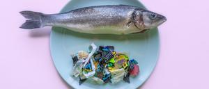 Ein Fisch mit Plastikmüll auf einem Teller (Symbolbild).