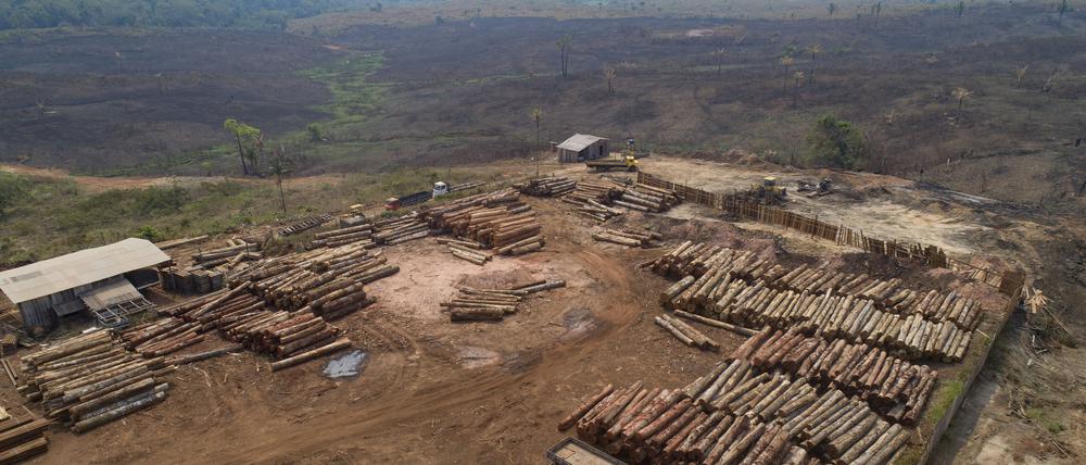 Nach Recherchen der Umweltorganisation Earthsight haben Zara und H&M schwere Menschenrechtsverletzungen in Brasilien begangen.