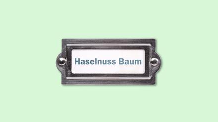 Das neue Namensrecht ermöglicht neue Kombinationen.