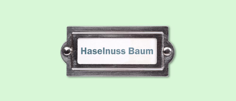 Das neue Namensrecht ermöglicht neue Kombinationen.