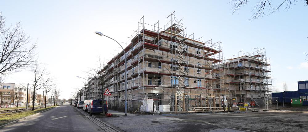 Sozialwohnungen baut in Potsdam fast ausschließlich die kommunale Pro Potsdam.