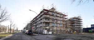 Sozialwohnungen baut in Potsdam fast ausschließlich die kommunale Pro Potsdam.