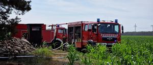 Feuerwehrfahrzeuge stehen am Waldrand (Symbolbild).