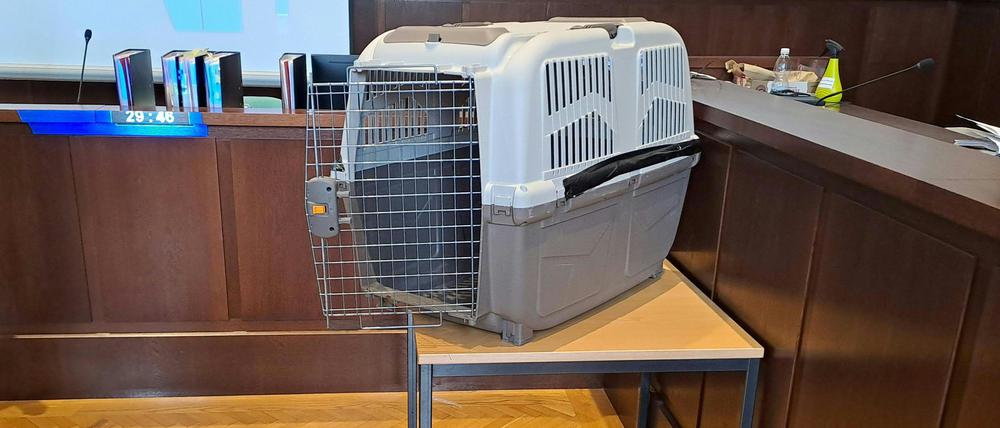 Eine Hundebox steht im Verhandlungssaal vom Landesgericht Krems während des Prozesses u.a. wegen versuchten Mordes gegen eine Mutter, die ihr Kind gequält und in eine Hundebox gesperrt haben soll.
