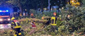 Feuerwehrleute arbeiten in Frankfurt/Main an der Beseitigung eines umgestürzten Baumes nach einem Sturm.