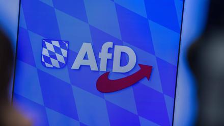 Die drei AfD-Abgeordneten Ulrich Singer, Andreas Jurca und Elena Roon reisten im März 2024 zur umstrittenen Präsidentschaftswahl nach Russland.