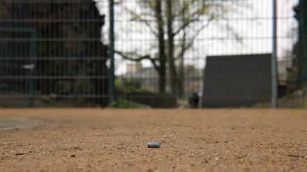 Patronenhülse im Pankower Bürgerpark.