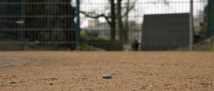 Patronenhülse im Pankower Bürgerpark.