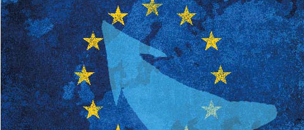 Neue Zahlen zeigen: Das Interesse an der Europawahl ist gestiegen