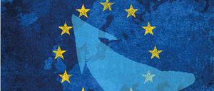 Neue Zahlen zeigen: Das Interesse an der Europawahl ist gestiegen