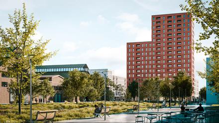 Neubau Insel Gartenfeld Berlin Spandau
