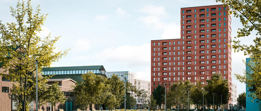 Neubau Insel Gartenfeld Berlin Spandau