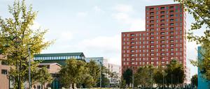 Neubau Insel Gartenfeld Berlin Spandau